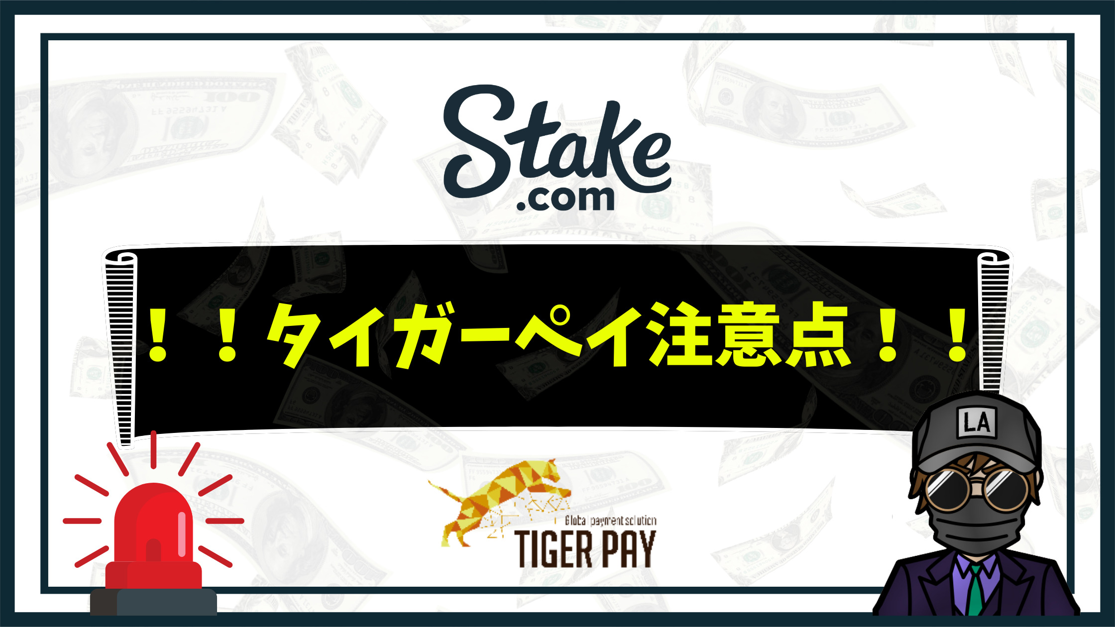 【ステークカジノ（stake）】ついに導入！タイガーペイを徹底解説！｜入出金手順や注意点など